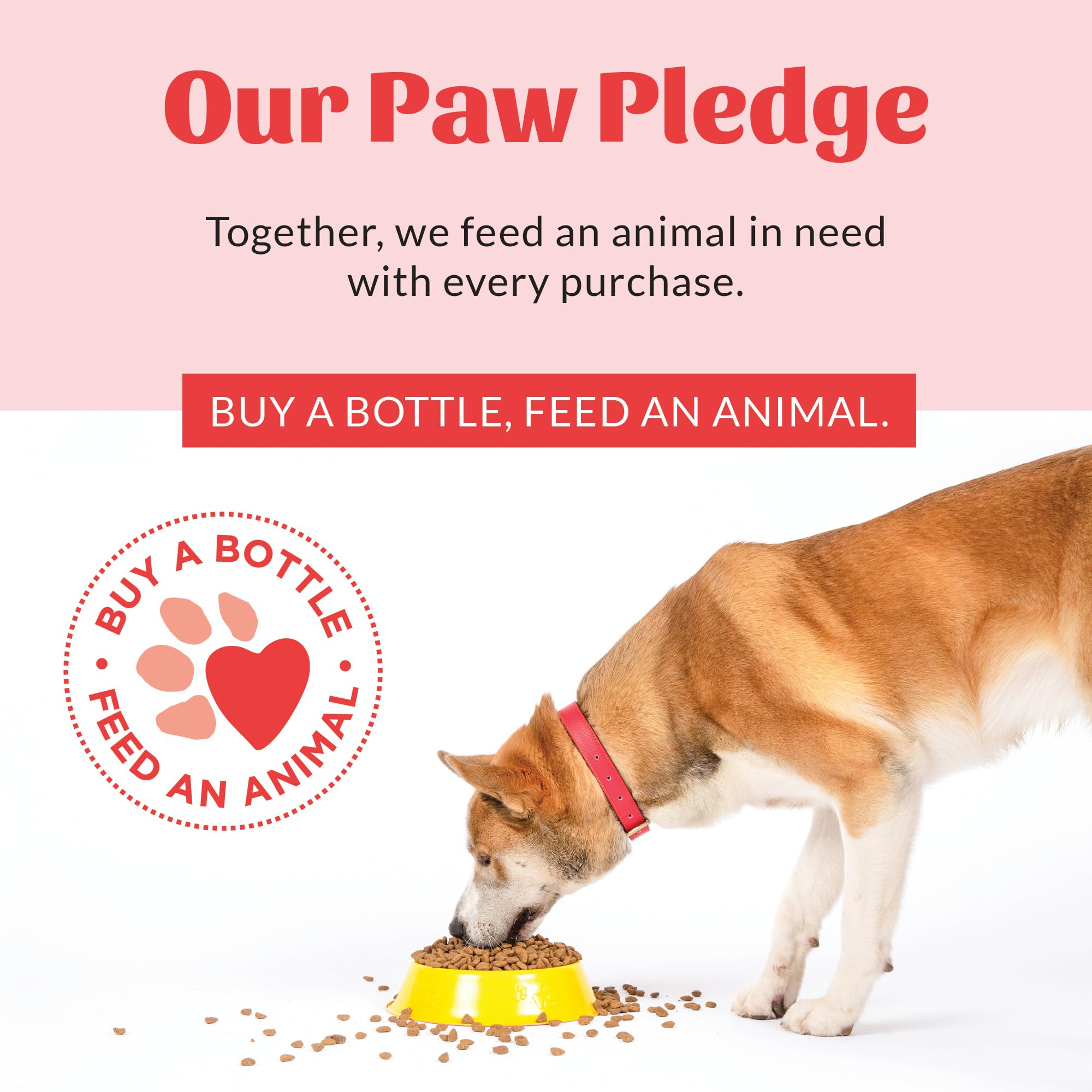 Skout's Honor Paw Pledge graphic communicates donating meals with every bottle sold.