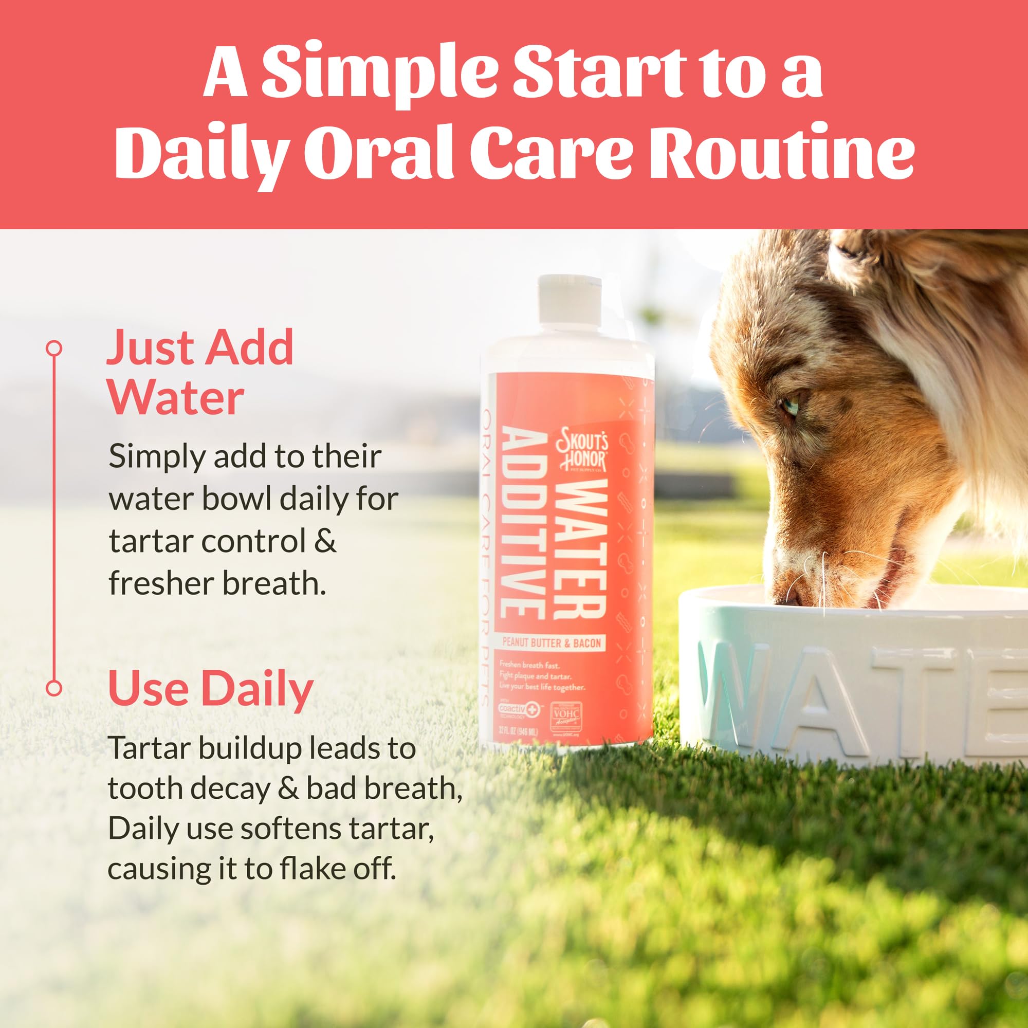 SKOUT'S HONOR safe formula is alcohol-free and paraben-free for pets.