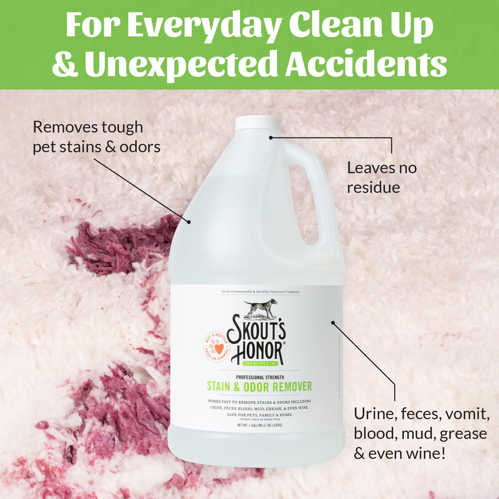 SKOUT'S HONOR odor-elimination targets odor molecules for fresher rooms