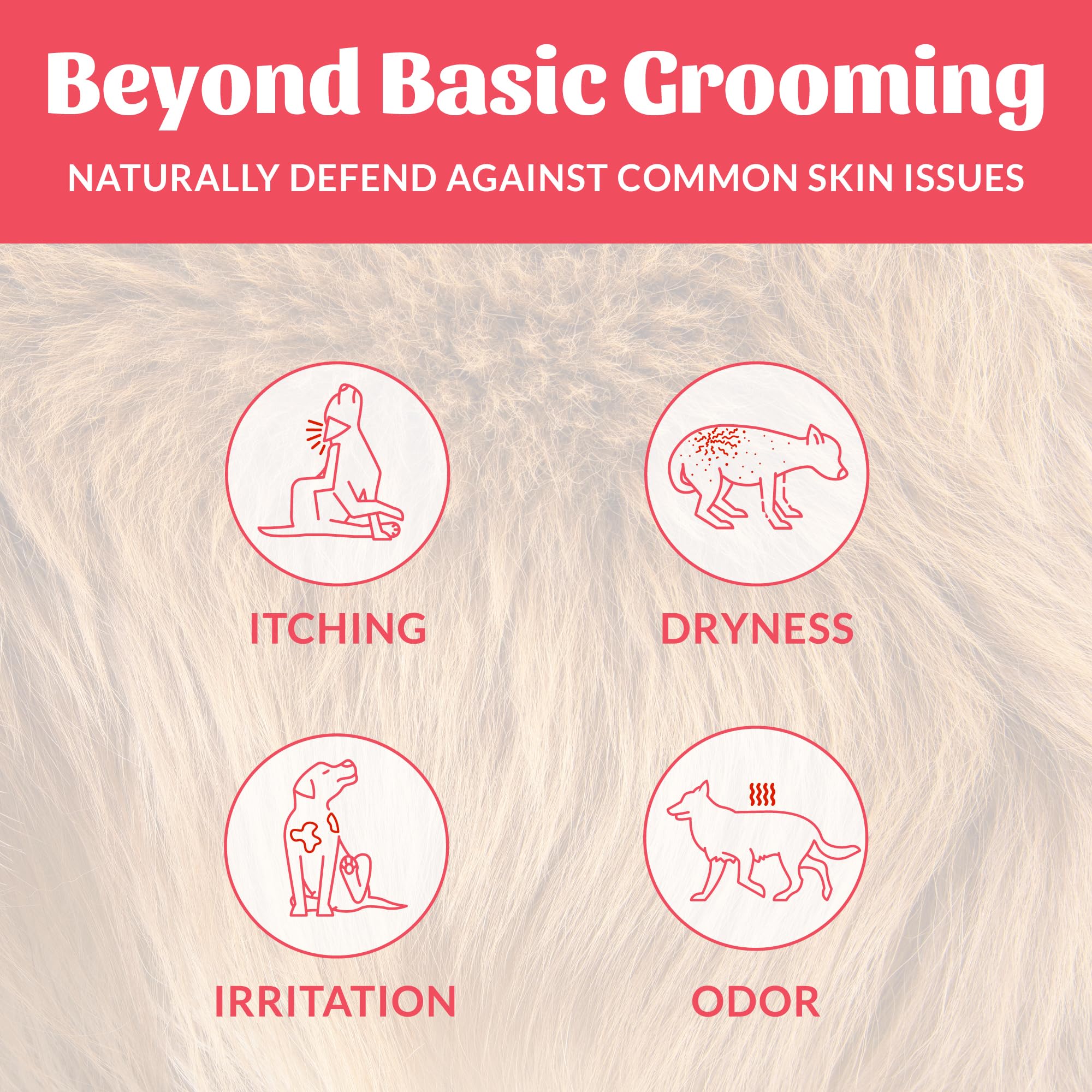 Skout's Honor probiotic dog shampoo label closeup shows natural ingredients listing