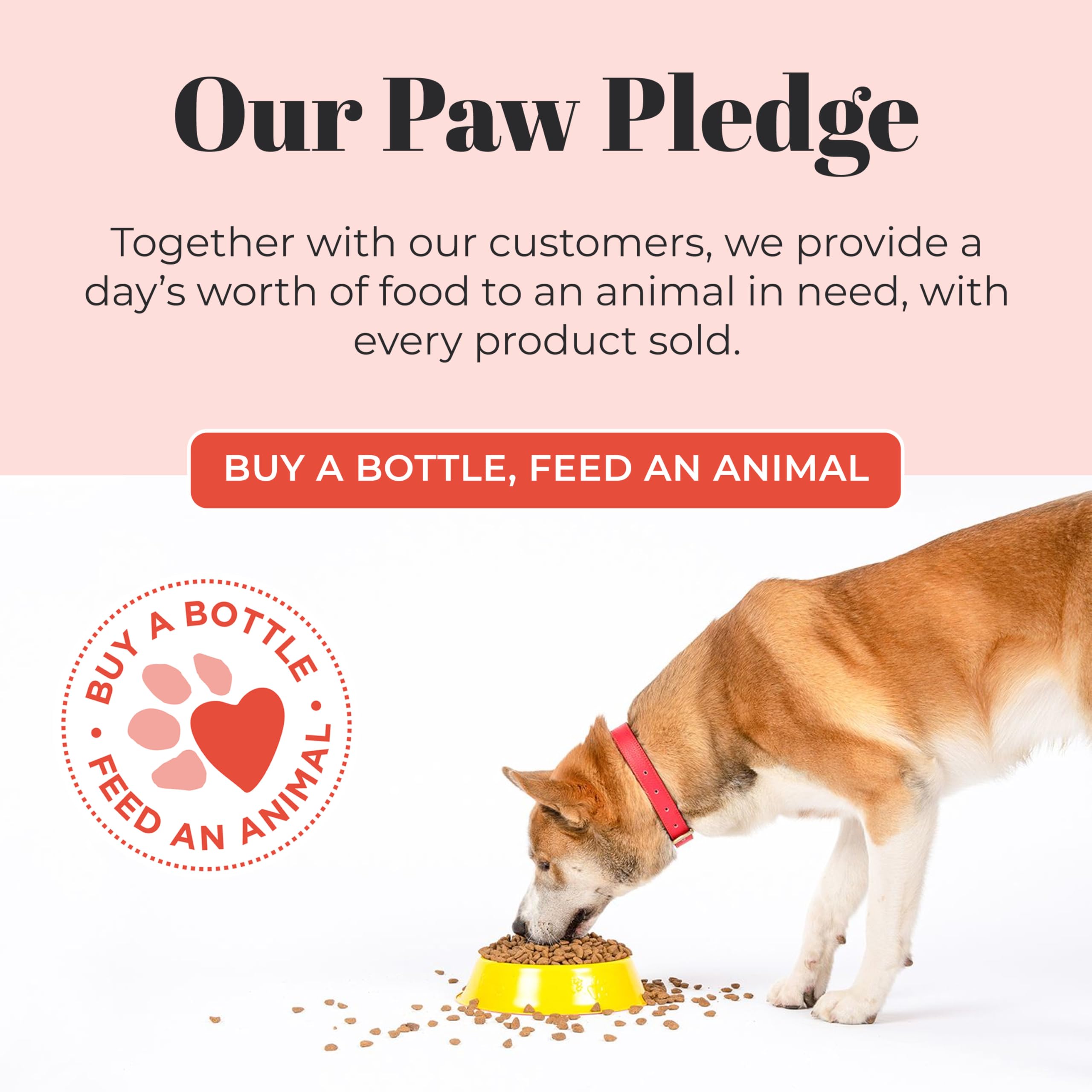 Skout's Honor probiotic dog shampoo avocado oil nourishing formula leaves coats silky after baths