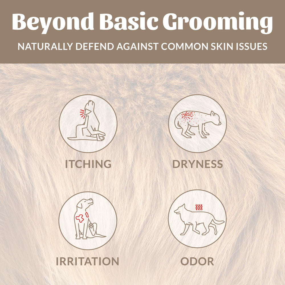 Skout's Honor probiotic shampoo conditioner bottle supports skin microbiome health and coat hydration.