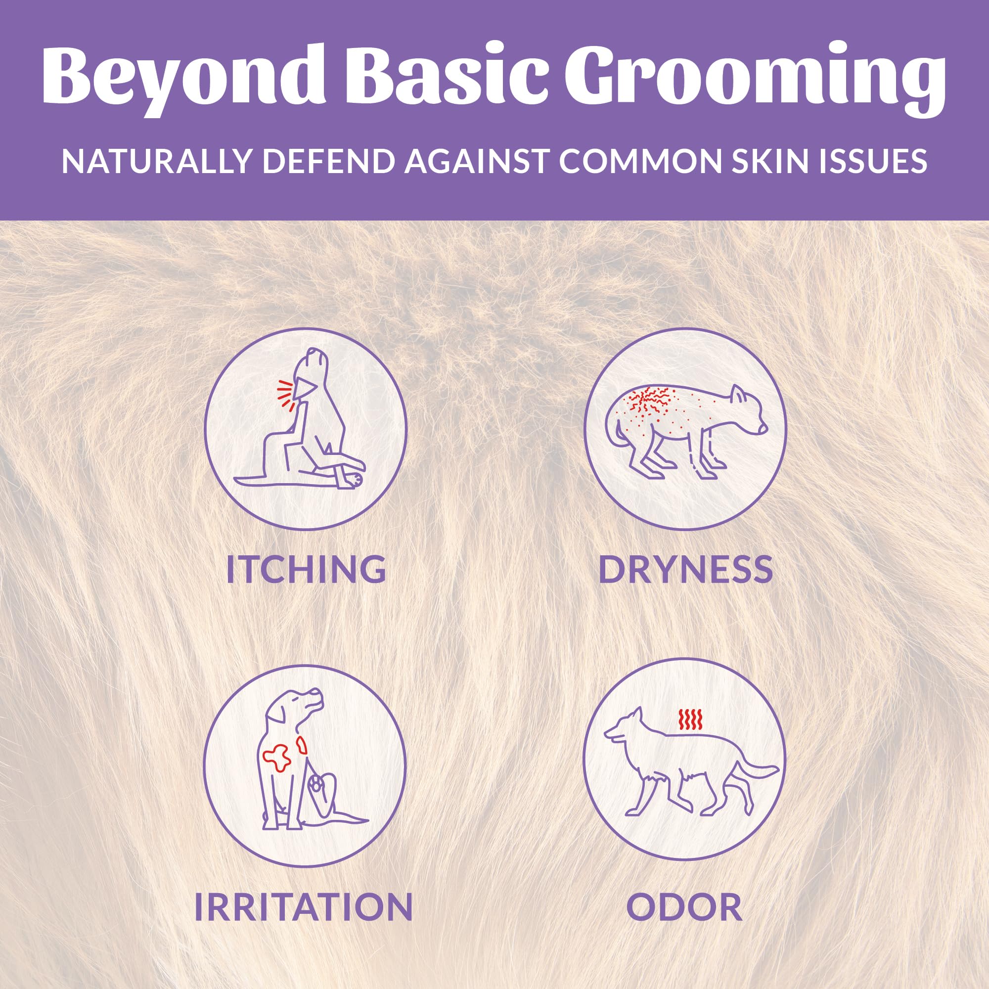 Skout's Honor probiotic shampoo lather on dog demonstrating microbiome-friendly cleansing.