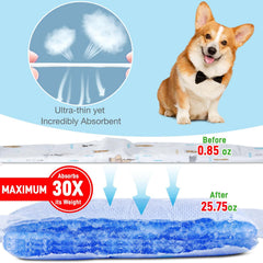 SkyLion dog diapers small with breathable top layer for comfort and chafe prevention.