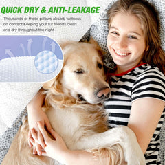 SkyLion dog diapers small for overnight use with enhanced absorbency and leak protection.