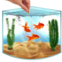 Skywin Corner Fish Tank front view highlights clear acrylic for vivid viewing in small spaces.