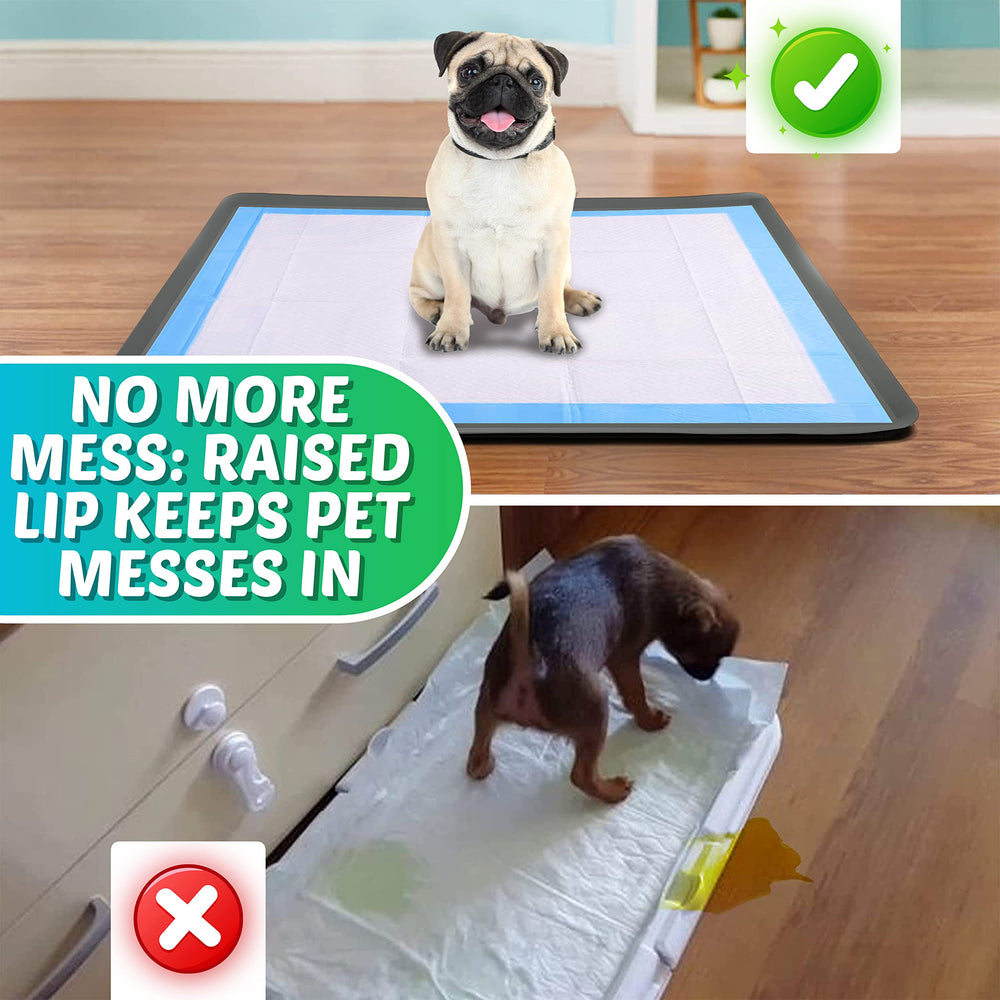 Skywin dog pad holder tray elevated-edges shows spill containment near pad edges.