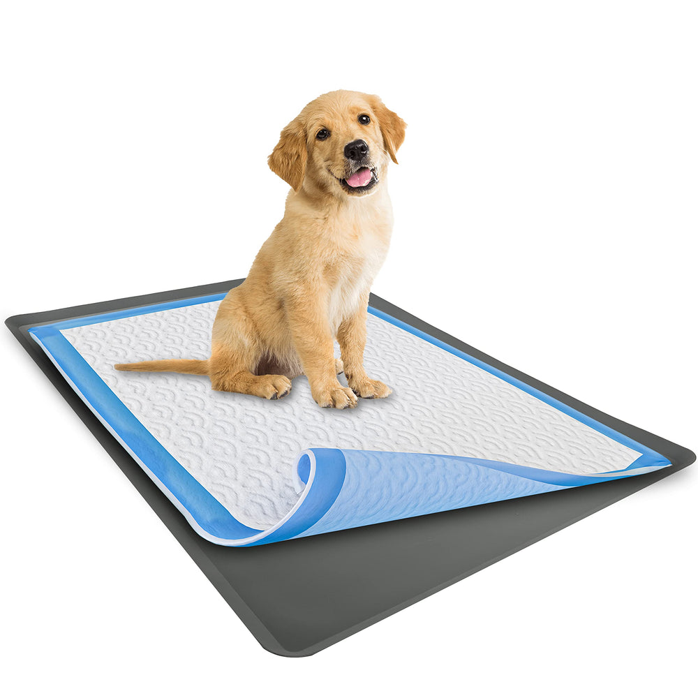 Skywin dog pad holder tray setup demonstrates easy potty-training arrangement with 24x36 pads.