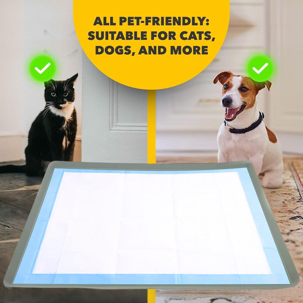 Skywin TidyFriend Tray easy-clean design reduces daily mess