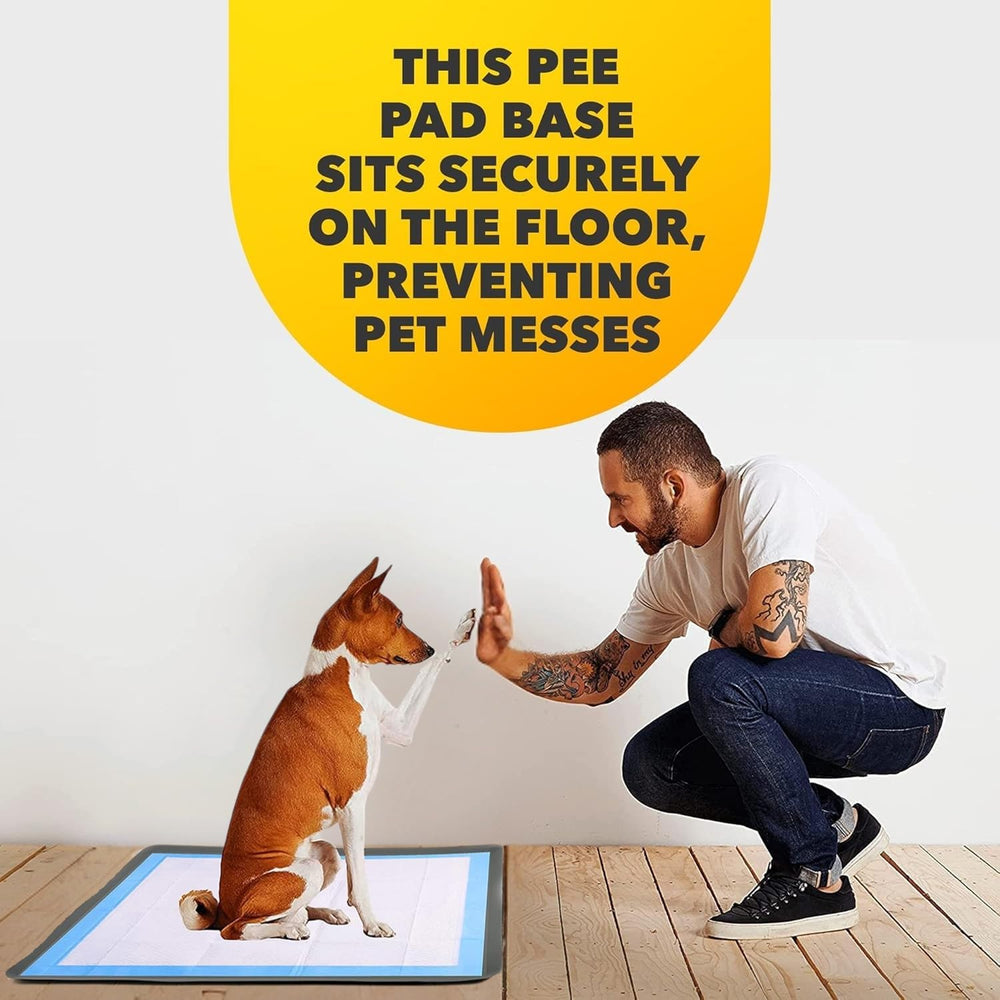 Skywin TidyFriend Tray supports gentle house training with structure and cleanliness