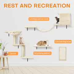 SLFYFC cat ladder connects shelves for easy access and active play.