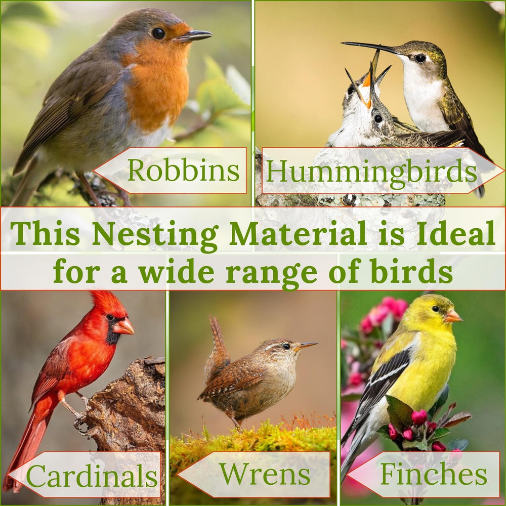 Slivche hummingbird nesters suited for garden balcony or office use