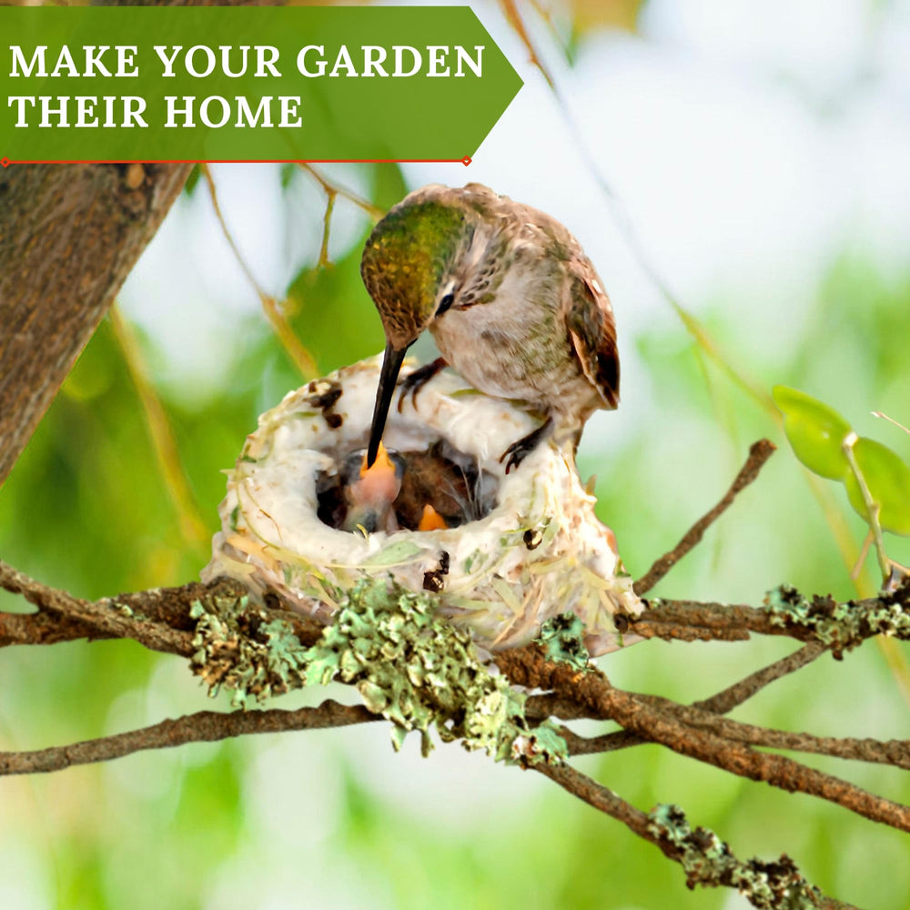 Slivche hummingbird nesters ideal gift for birdwatchers
