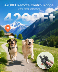 SLOPEHILL 2-pack dog collar pack-2 for simultaneous training sessions.