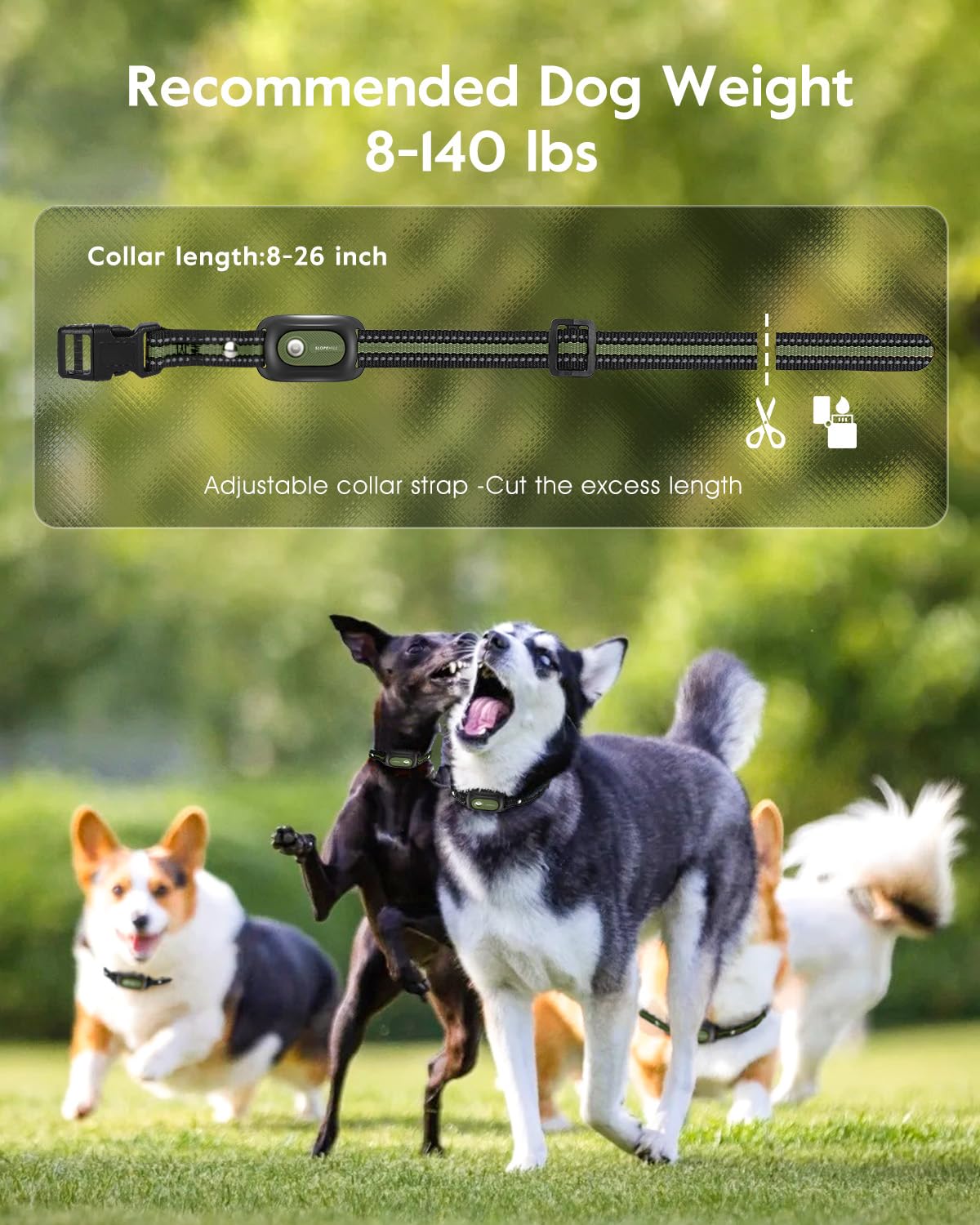 SLOPEHILL dog collar rechargeable-battery keeps training powered on the go.
