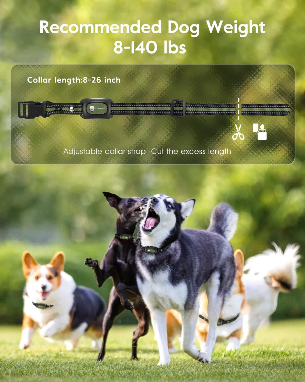 SLOPEHILL dog collar rechargeable-battery keeps training powered on the go.