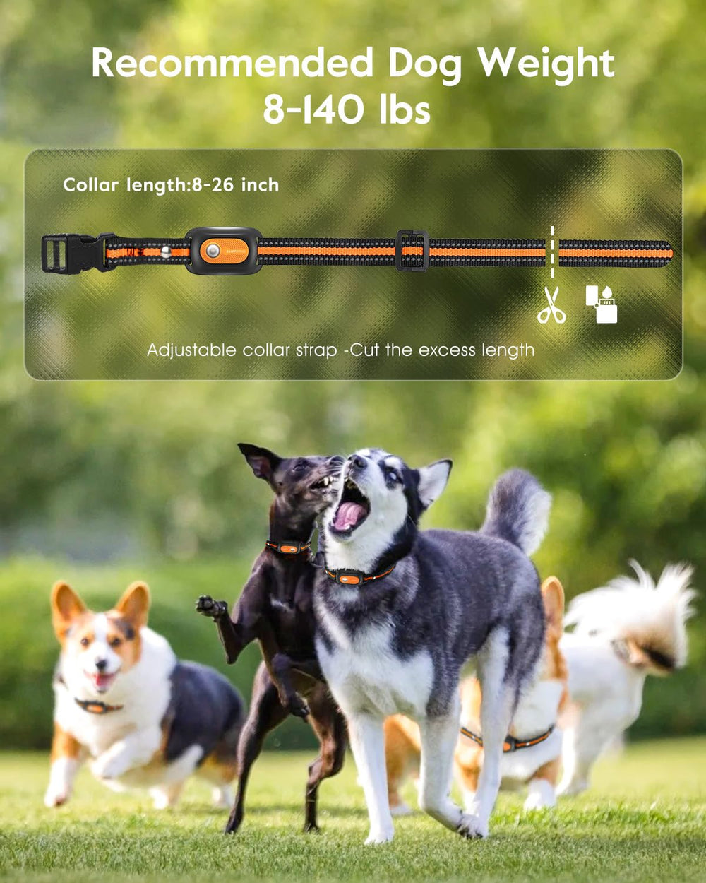 SLOPEHILL beep and vibration cues for humane training