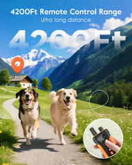 SLOPEHILL remote control for two dogs enables synchronized training sessions.
