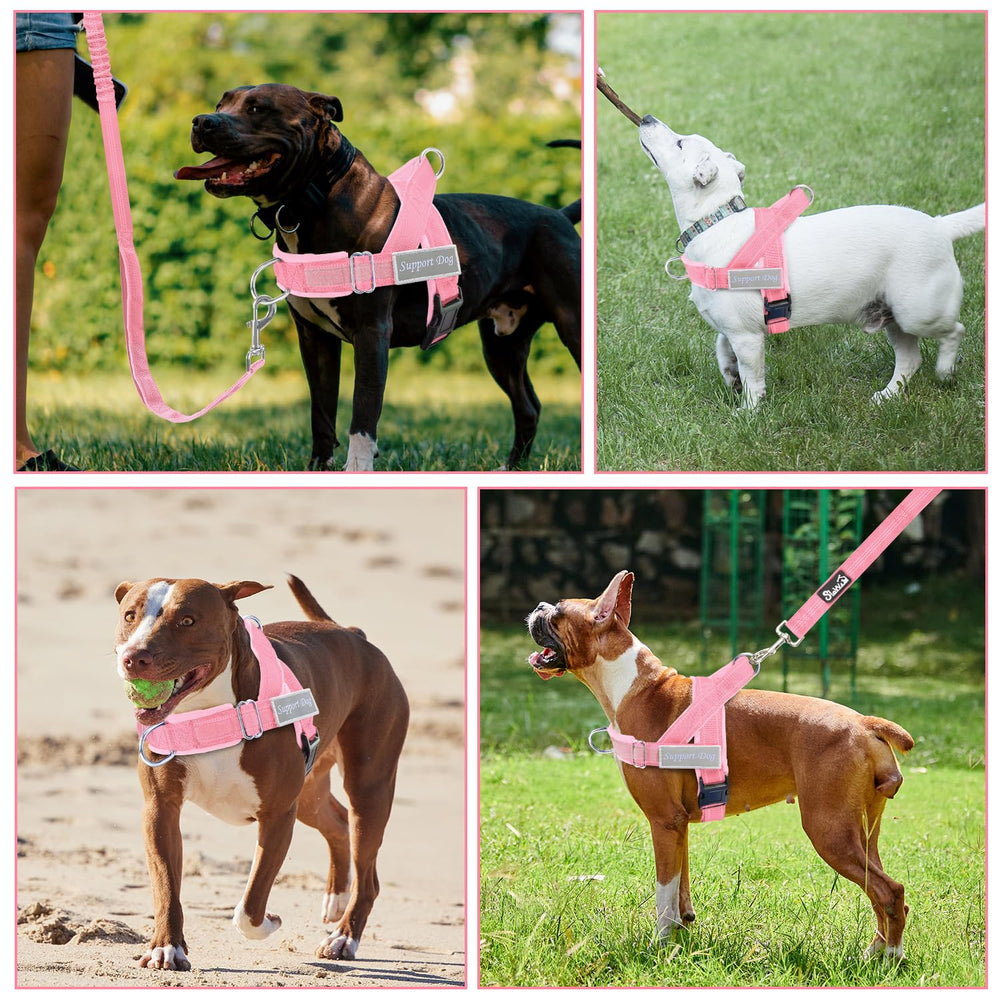 SlowTon adjustable neck and chest fit for various dogs.