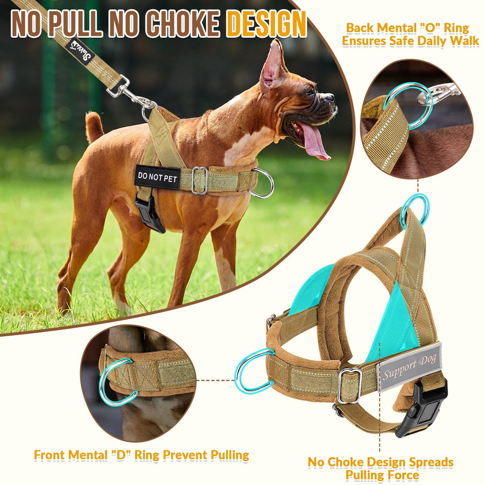 SlowTon back D-ring harness with reflective trim for safe night walking.