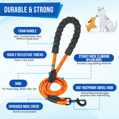 SlowTon bungee dog leash extension demonstrates shock-absorbent flex for confident dogs.