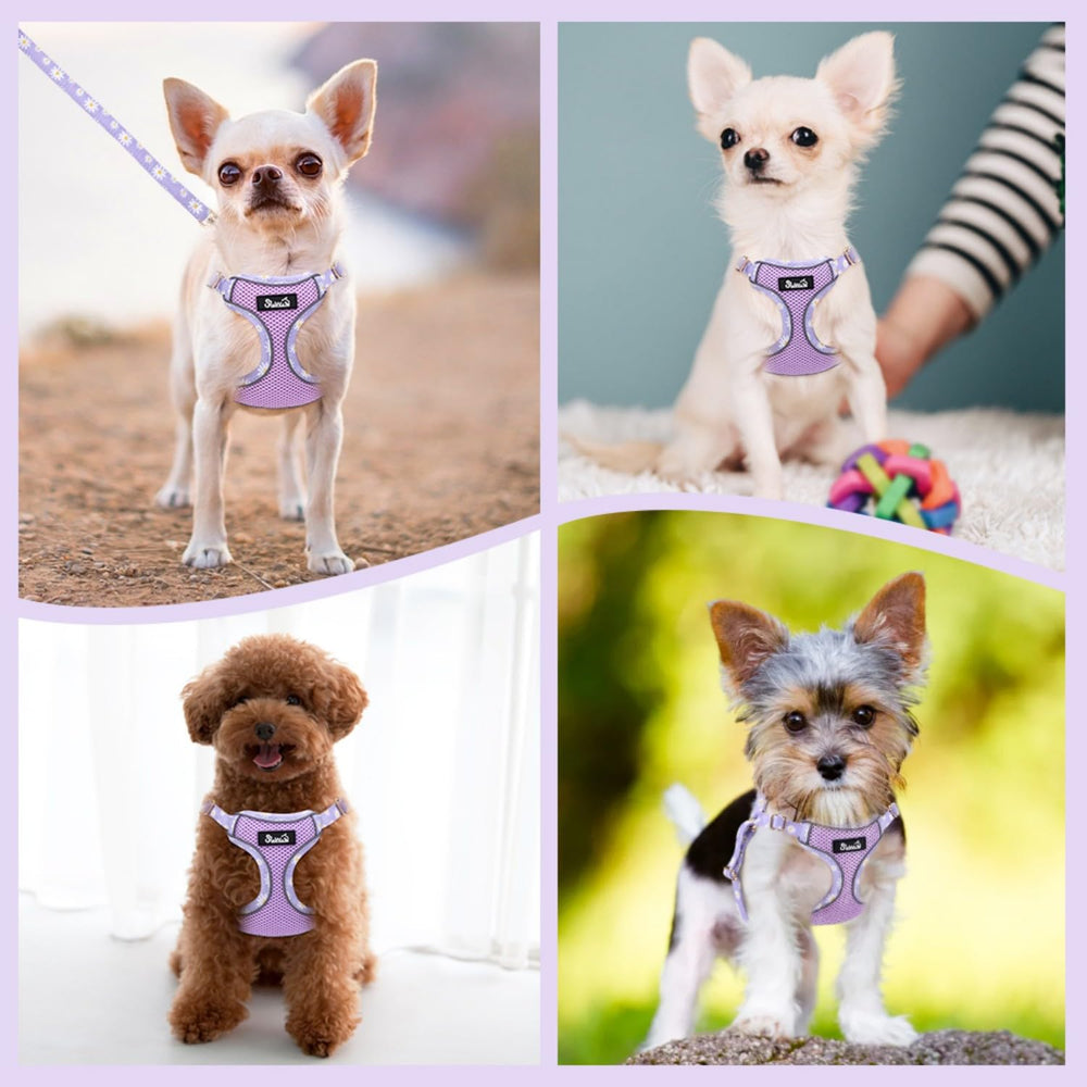 SlowTon daisy pattern harness in purple suitable for small to medium dogs