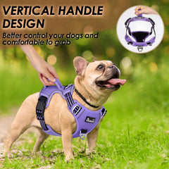 SlowTon 4-adjustable-straps harness purple ensures a snug, secure fit.