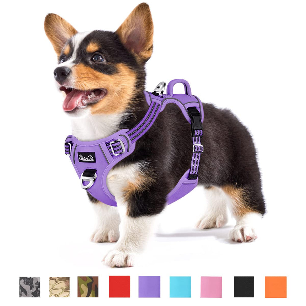 SlowTon dog harness front clip purple for no-pull control during walks.
