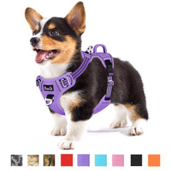 SlowTon dog harness front clip purple for no-pull control during walks.