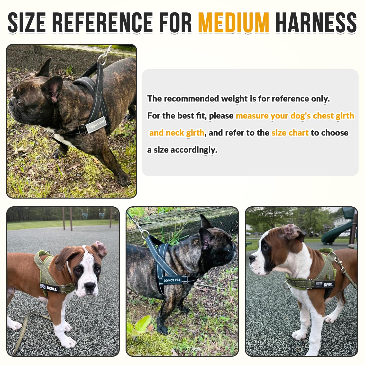 SlowTon No Pull Harness in-use with leash for everyday training and walks