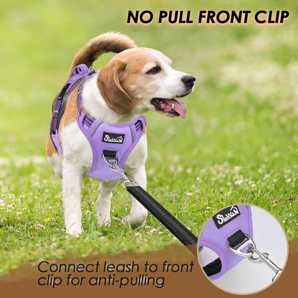 SlowTon reflective-trim harness purple enhances visibility for night-time walks.