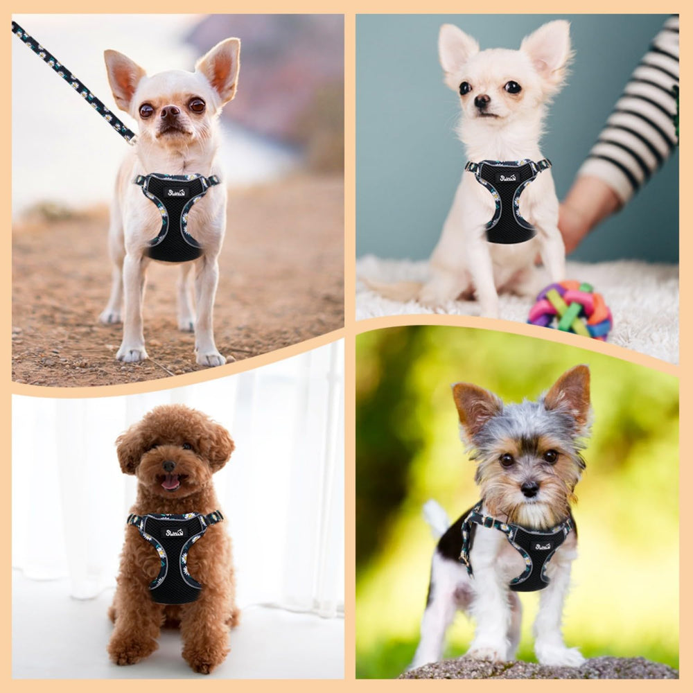 SlowTon size range XXS to Medium fits small breeds comfortably