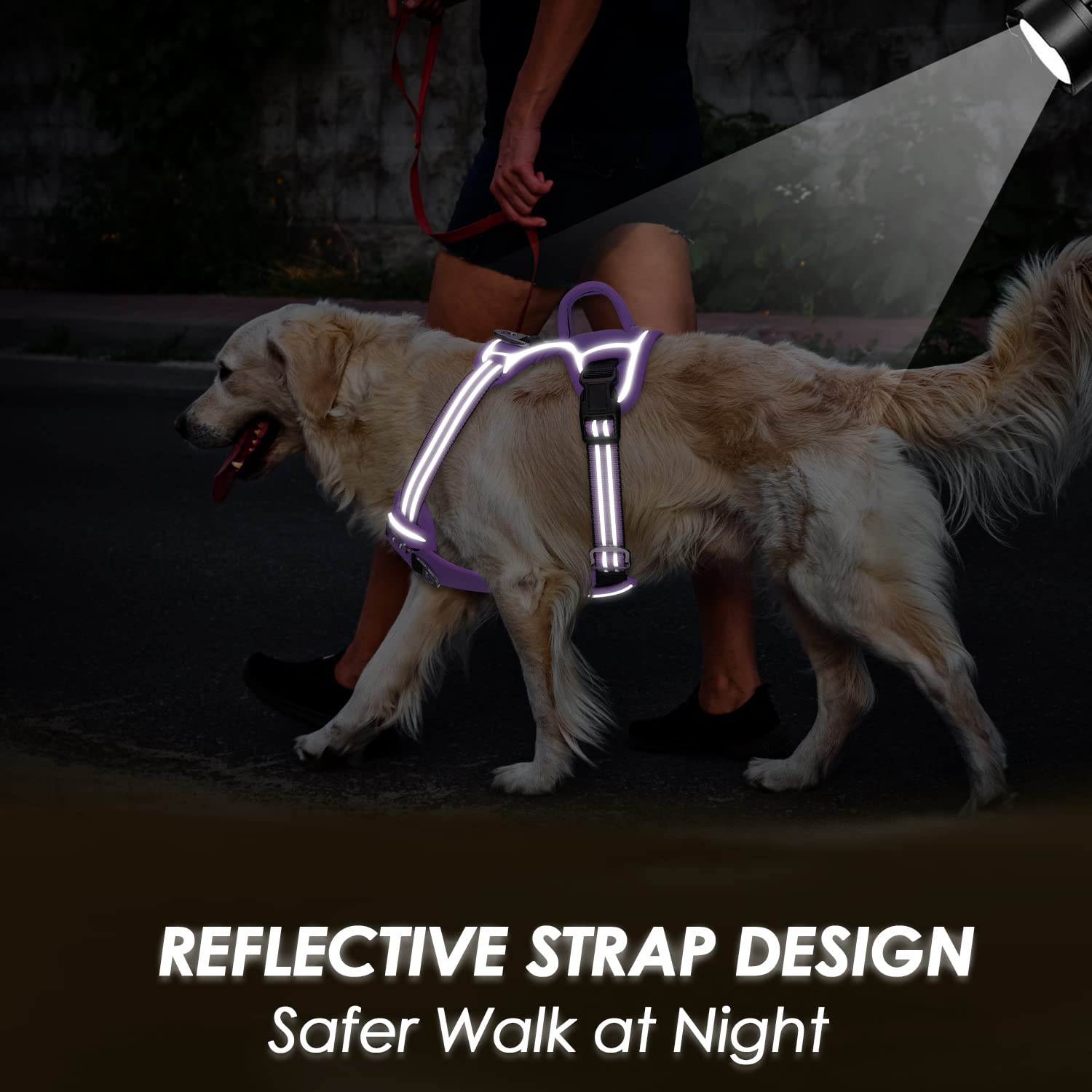 SlowTon soft-padding harness purple offers comfortable daily wear.