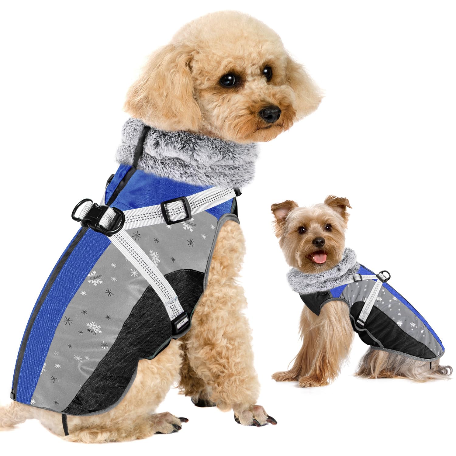 SlowTon dog jacket blue front view highlights warm fleece lining and stand-up faux-fur collar.