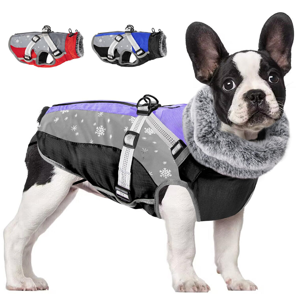 SlowTon dog jacket waterproof outer keeps your dog dry on rainy walks.