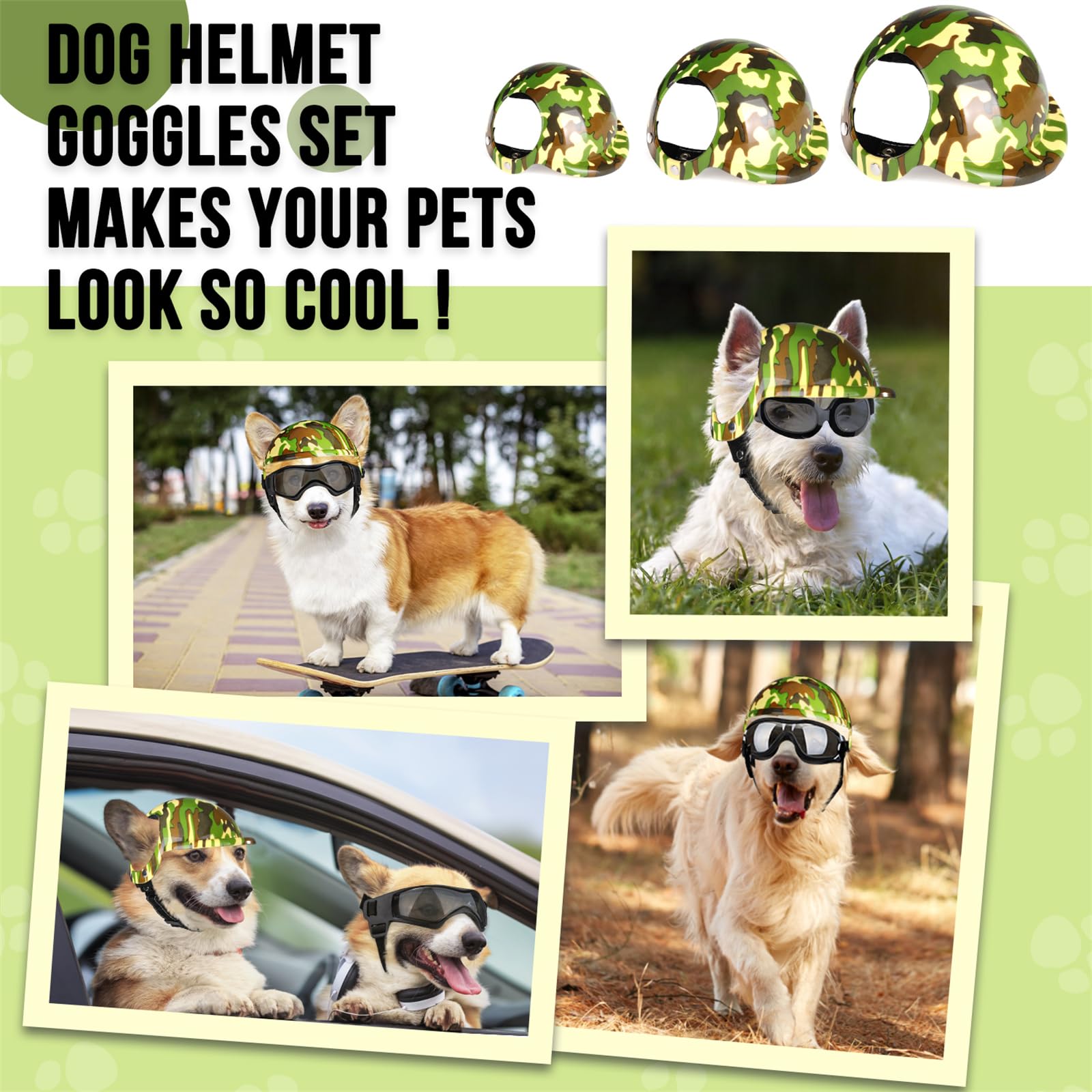 SlowTon outdoors image features dogs wearing helmet and goggles during park adventures.