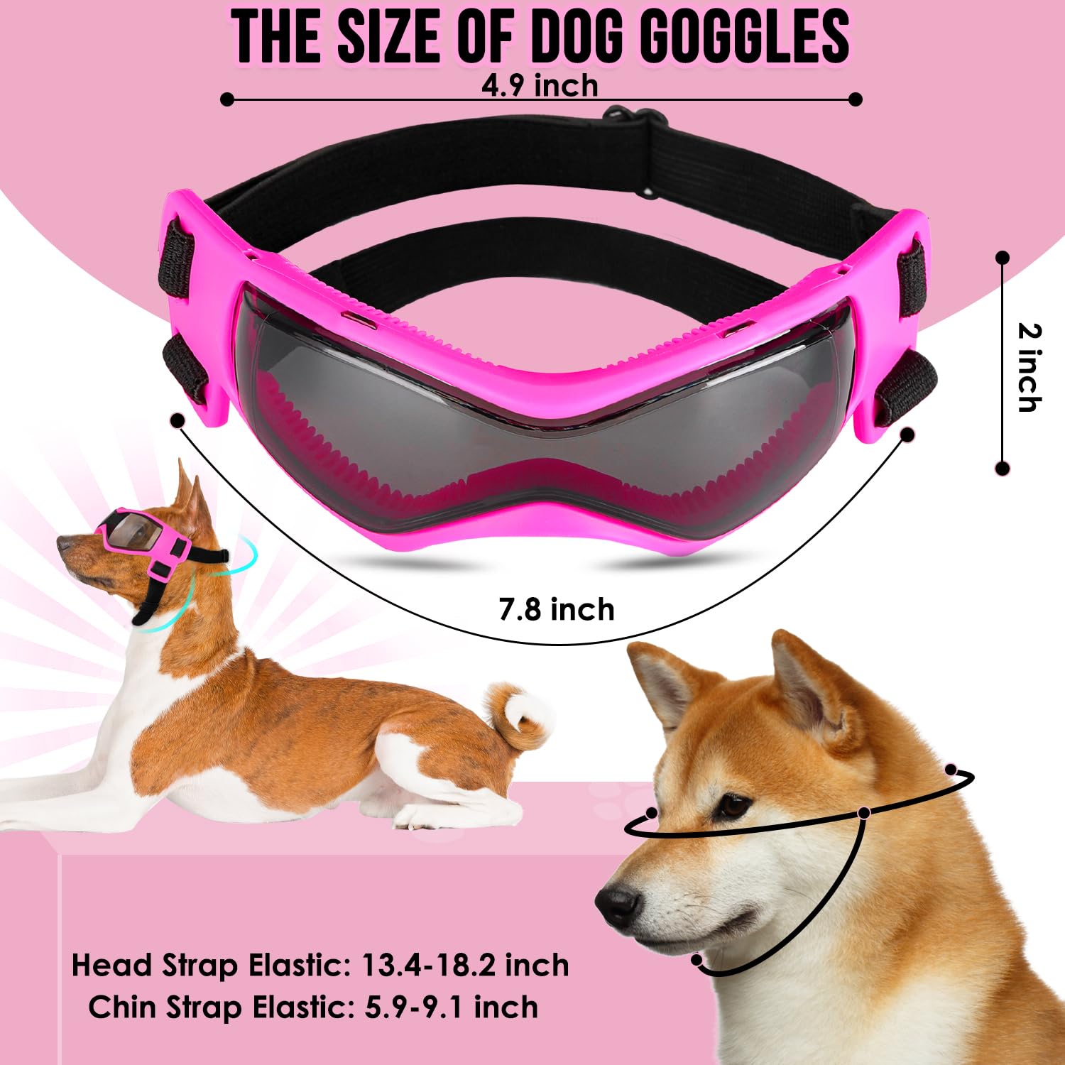 SlowTon dog outdoor-setup shows helmet and goggles for hiking or travel.