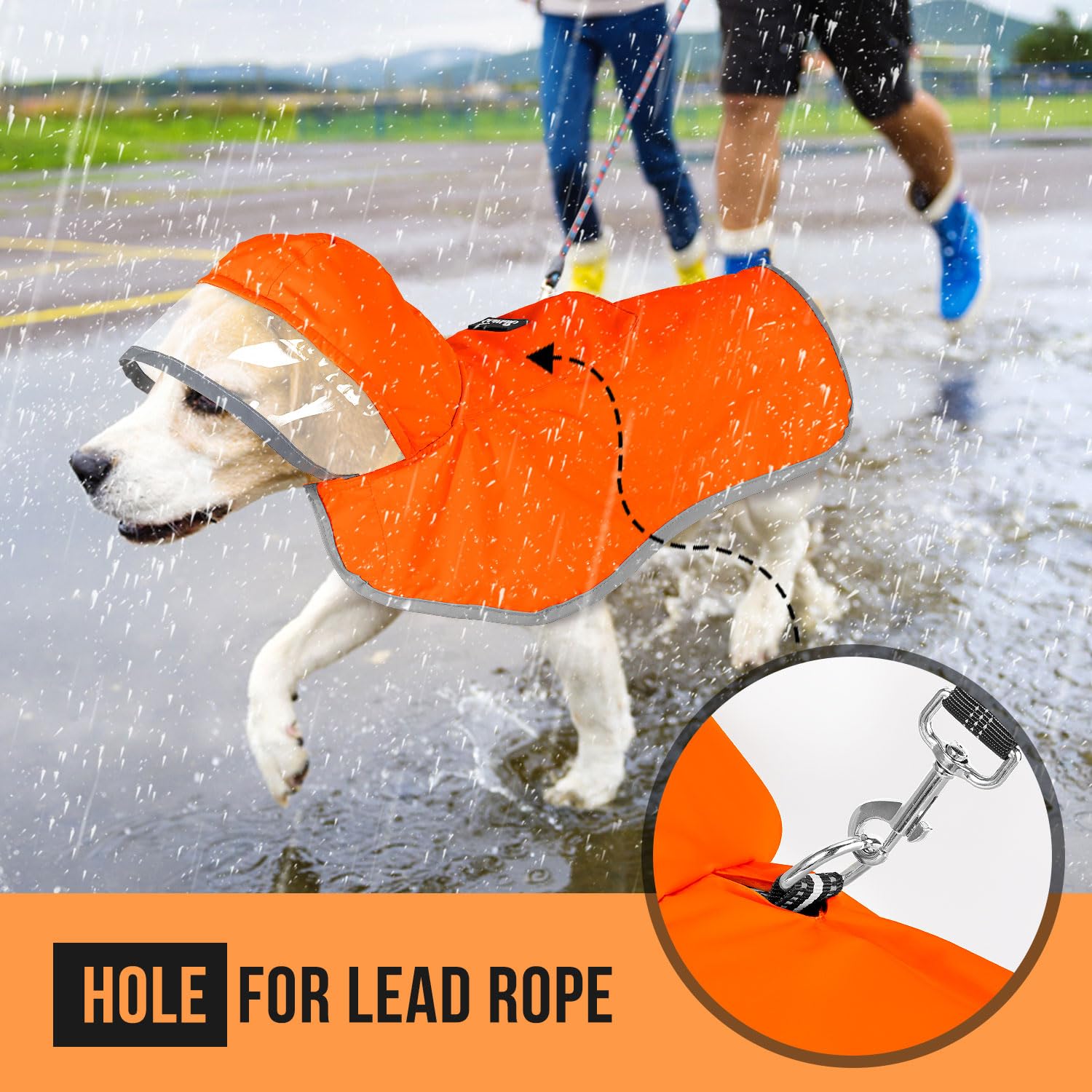 SlowTon dog raincoat-dog-walking-in-light-rain demonstrates protective wear in action.