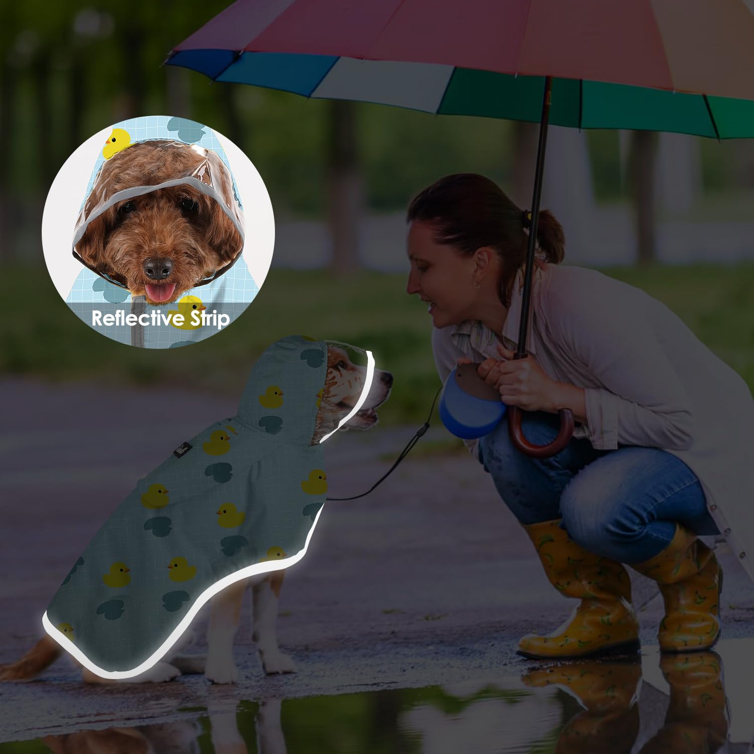 SlowTon dog raincoat size chart highlights seven size options for dogs