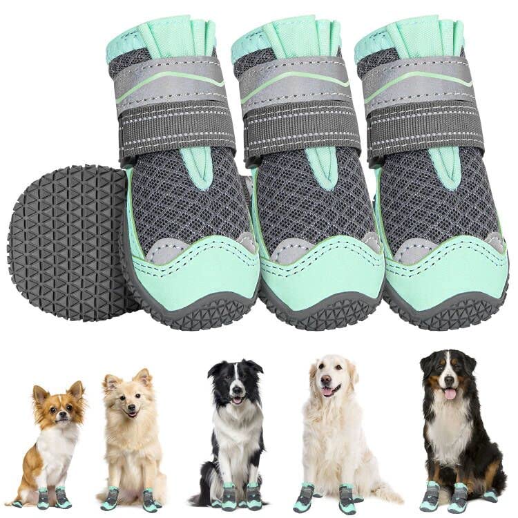 SlowTon dog shoes on paw show secure fit for outdoor walking on hot pavement.