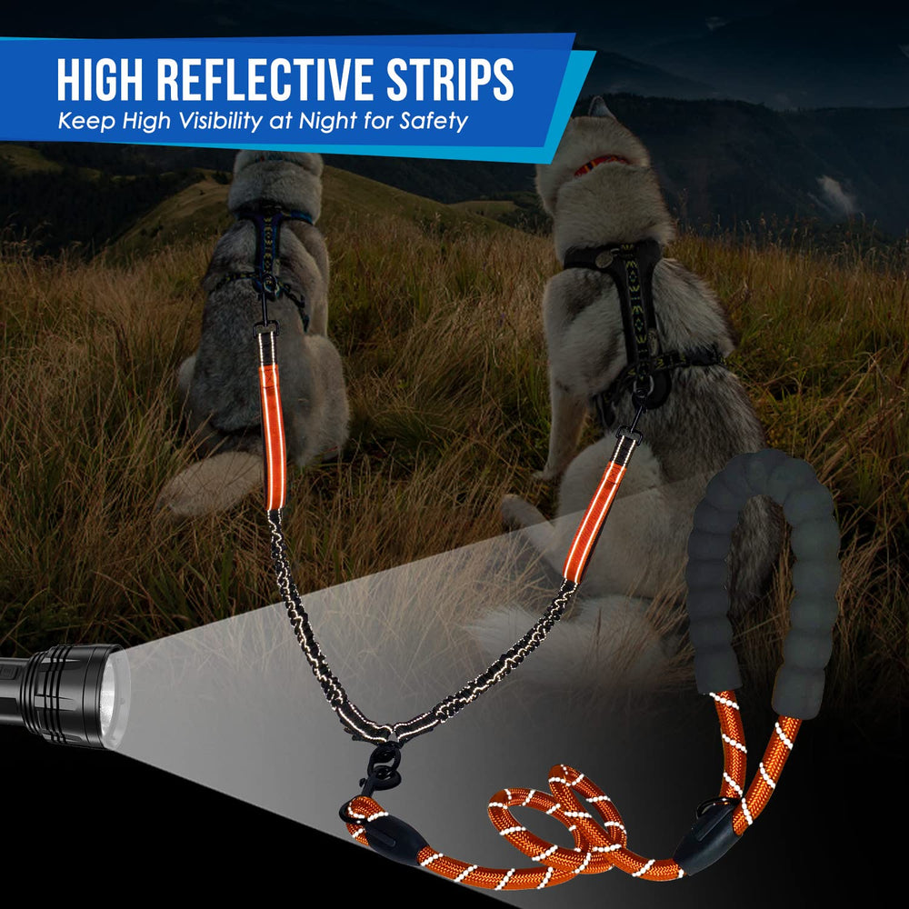 SlowTon durable nylon leash communicates sturdy construction and lasting daily use.