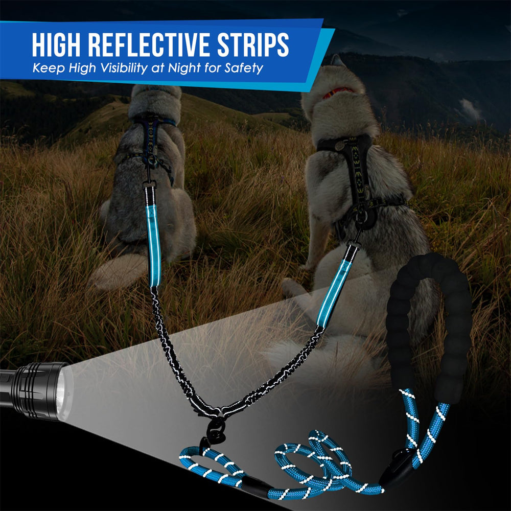 SlowTon durable-nylon-strap blue leash supports dogs up to 150 pounds.
