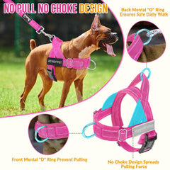 SlowTon harness back view with reflective strips for safer nighttime walking