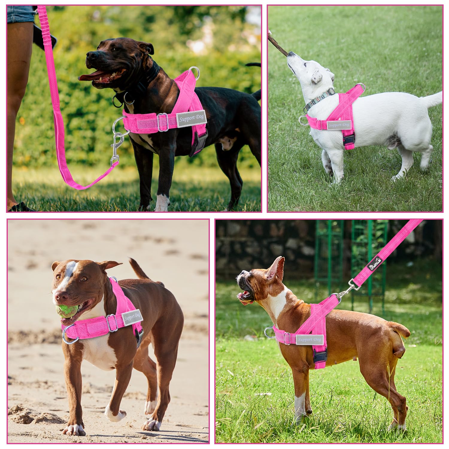 SlowTon No Pull Harness dual handles provide control in crowded areas