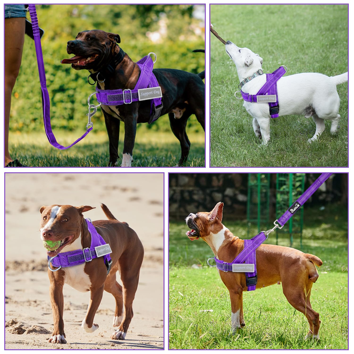 SlowTon harness with elastic bungee leash absorbs pulls for comfortable handling.