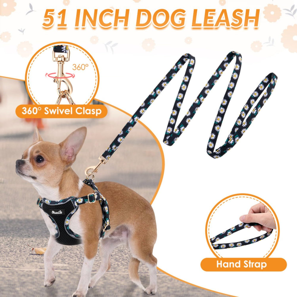 SlowTon leash with 360-degree rotating buckle prevents tangles on adventures.