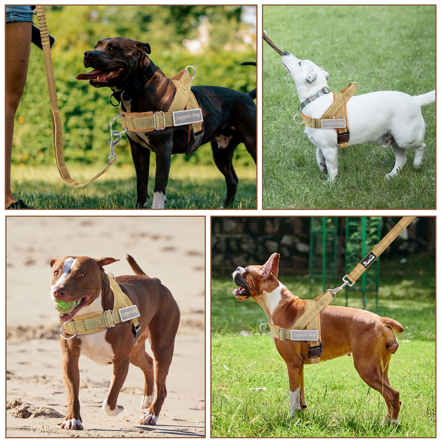 SlowTon leash elastic bungee tan softens sudden pulls during walks
