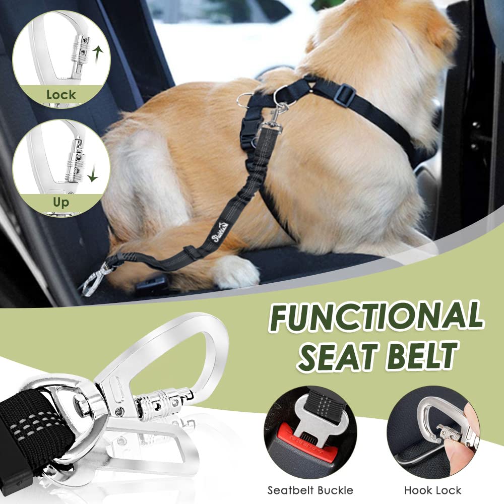 SlowTon measuring guide image helps you select the right fit for your dog.