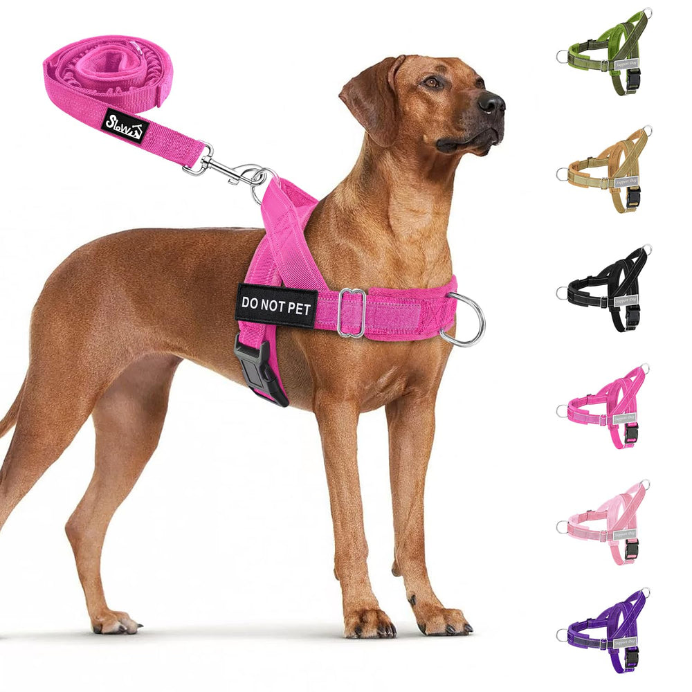 SlowTon No Pull Harness front clip for training and controlled daily walks
