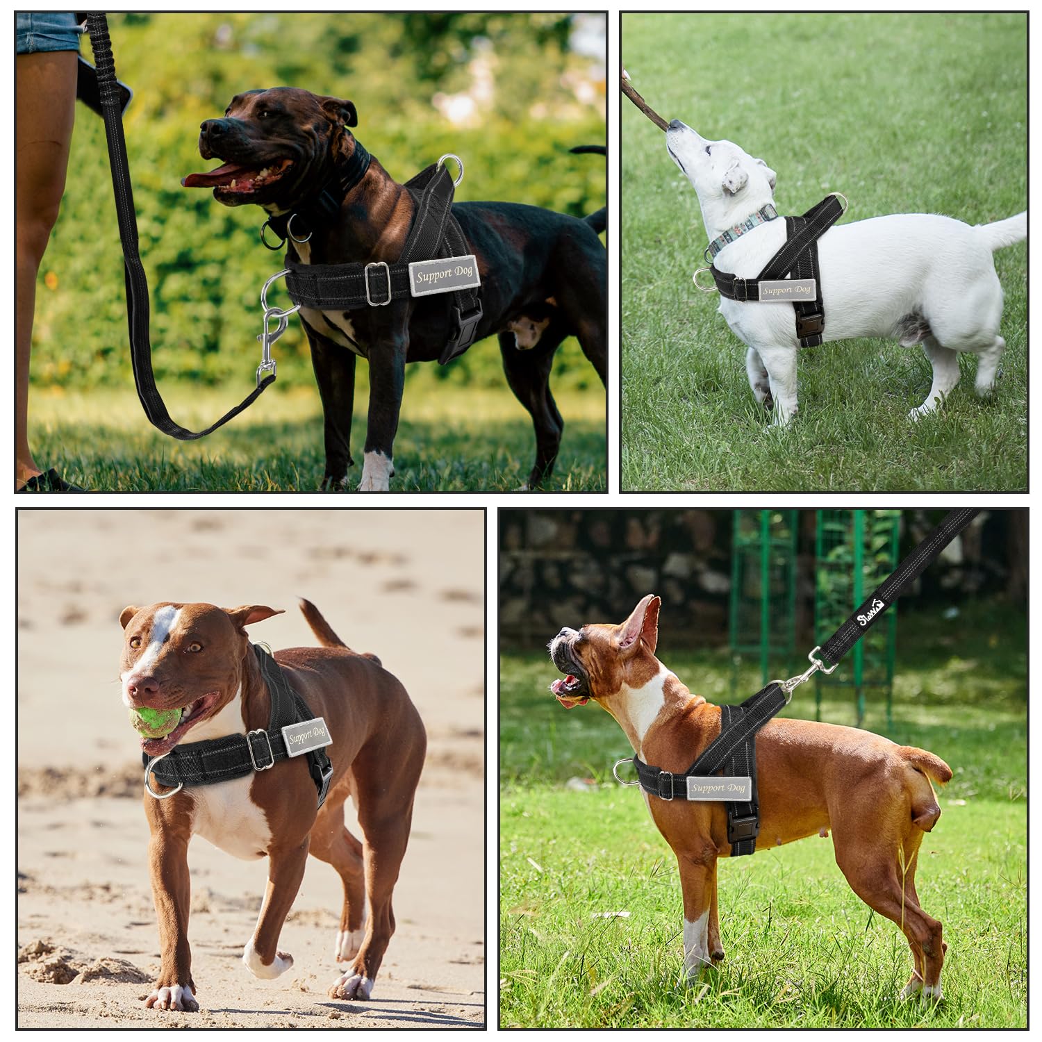 SlowTon no pull harness 360 degree swivel prevents leash tangles